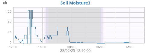daymoistsoil